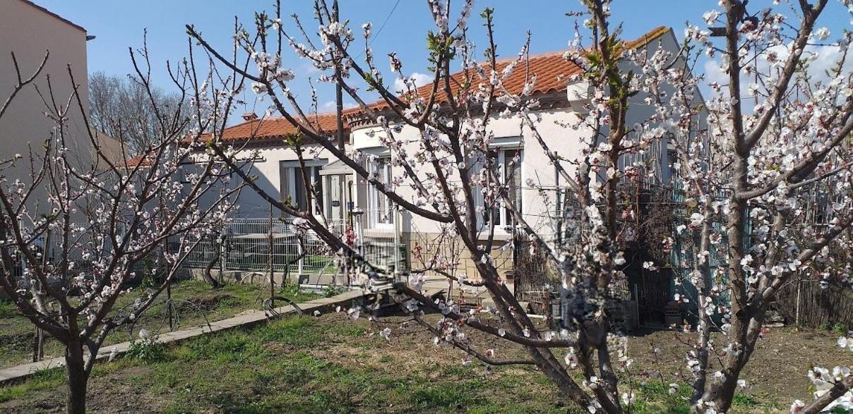 La Maison Du Bonheur Saint-Laurent-de-la-Salanque Exteriör bild